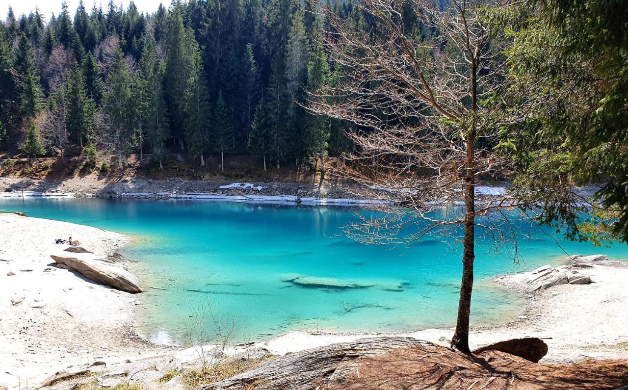 Ferienwohnung Stenna SELVA an Toplage Flims Exterior foto